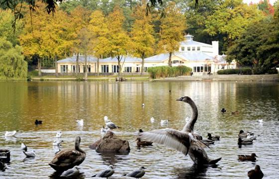 Villa Rosali Boutique Hotel Hamborg Eksteriør billede